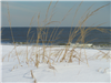 Snow on the dunes Bethany Beach