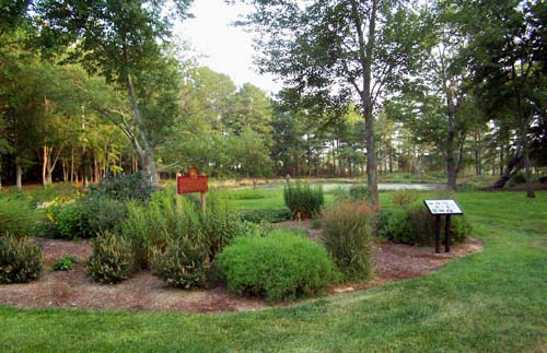 BB Nature Center Resized.jpg