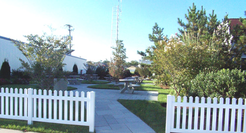 Garden beside Town Hall 2Resized.jpg