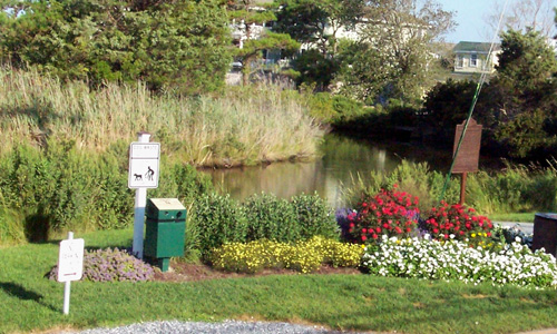 Loop Canal GardenResized.jpg