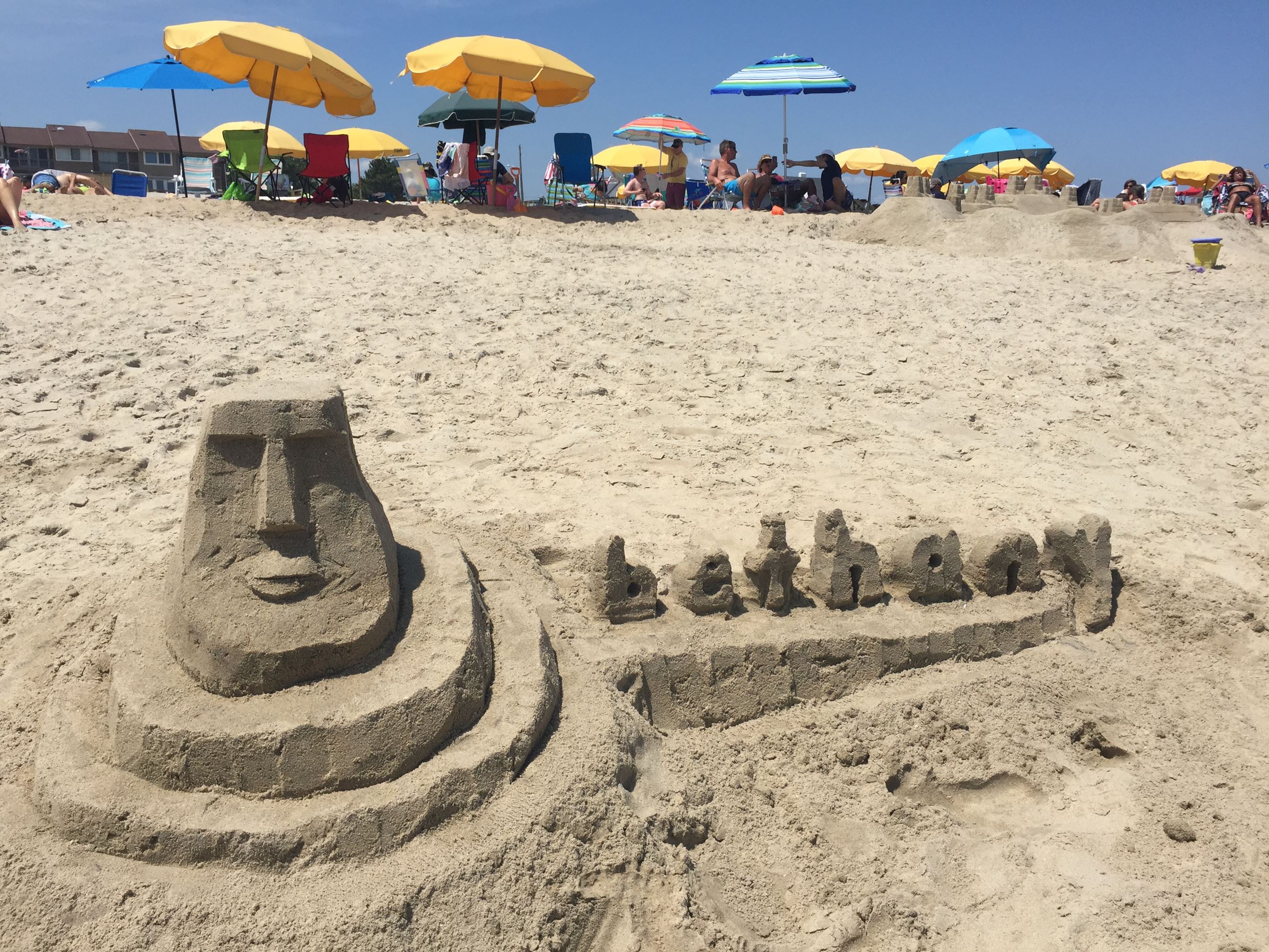 Cover.Ellen McLaughlin 