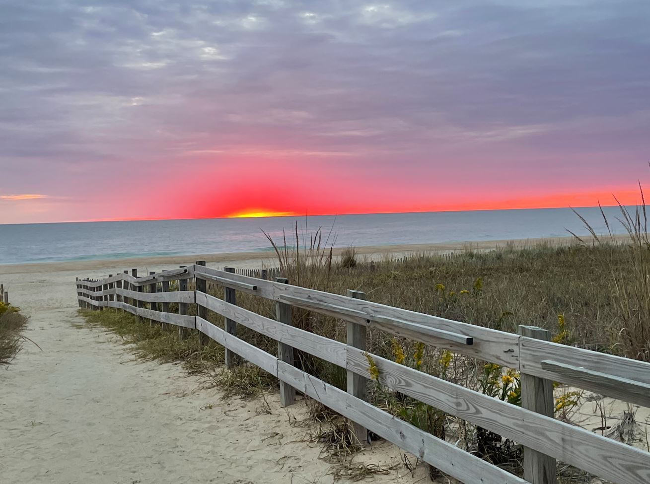 Daybreak by Anne Marie Allison