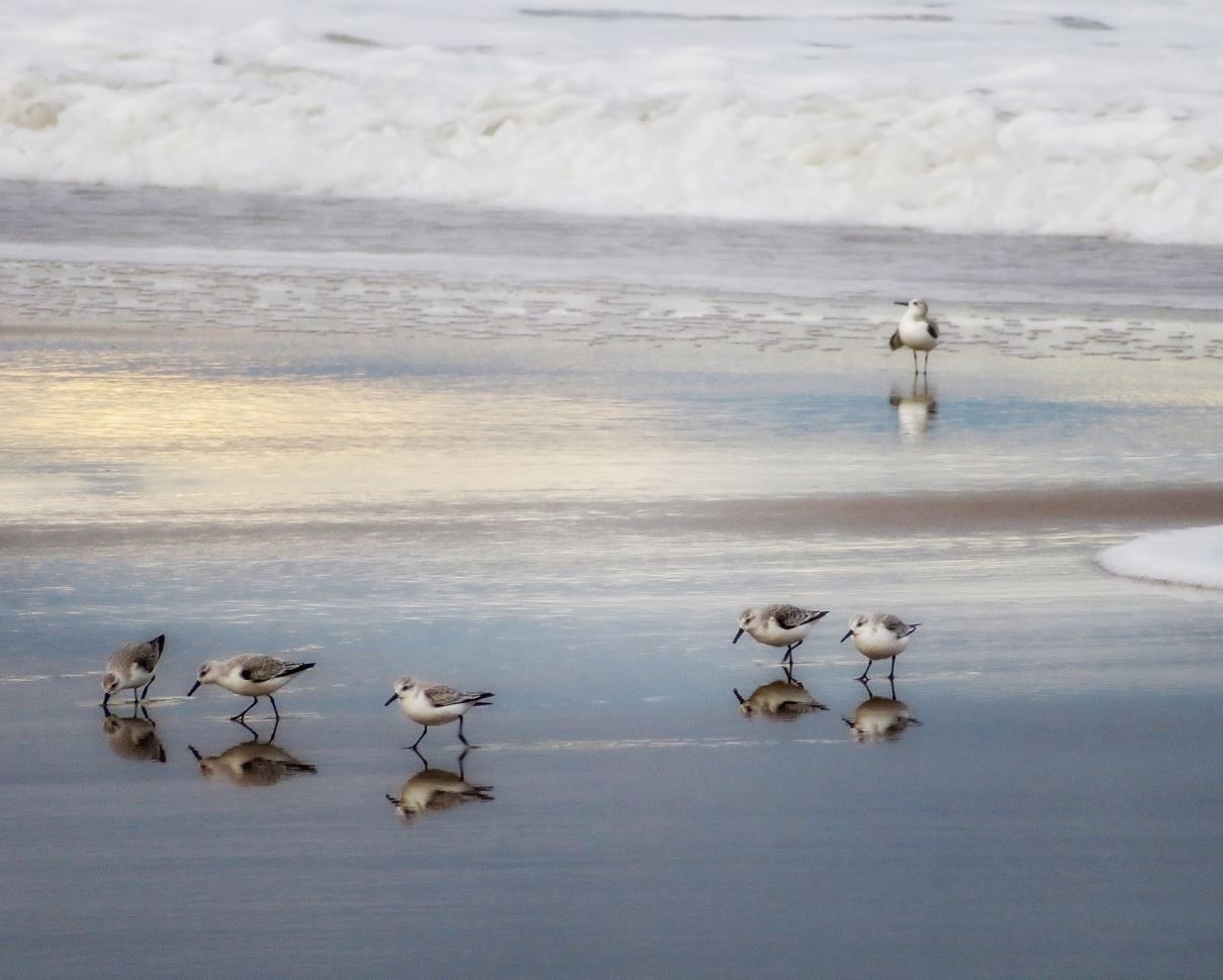 Hanging With My Peeps by Marian Dowling