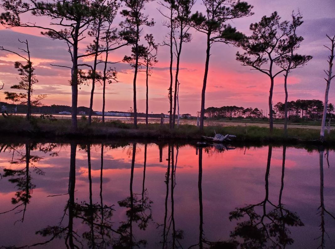 Purple Haze by Cathy Bernier