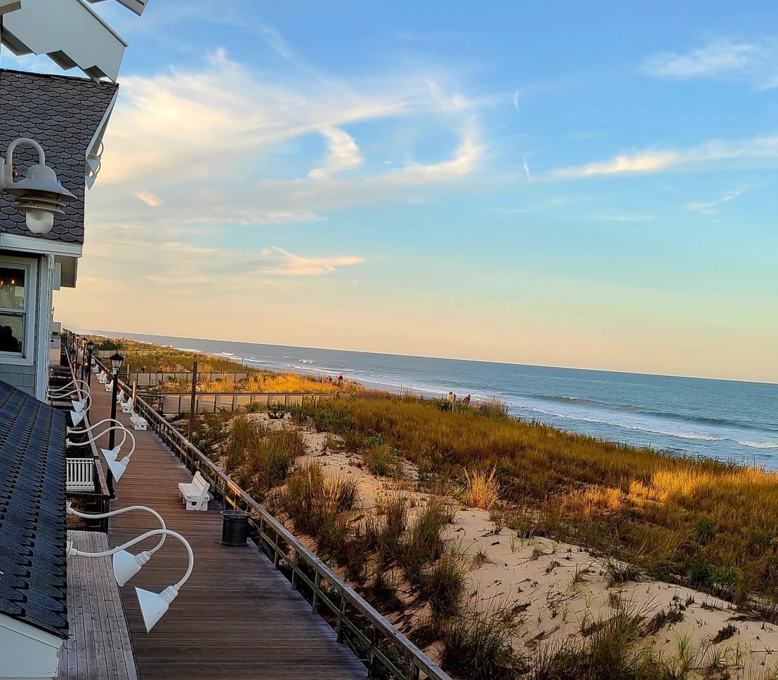 View From Above by Lisa Braden