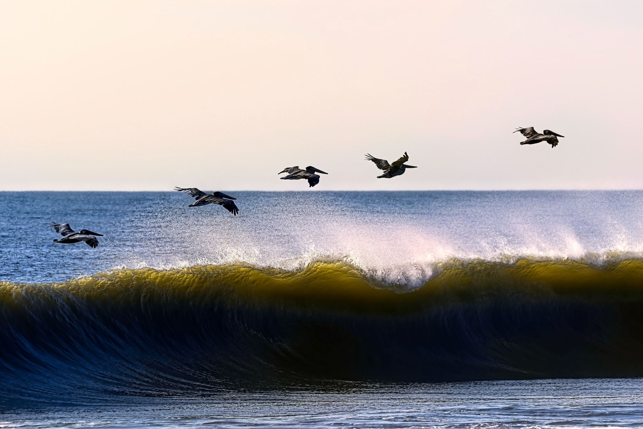 Chester Davis - Grand Prize Winner