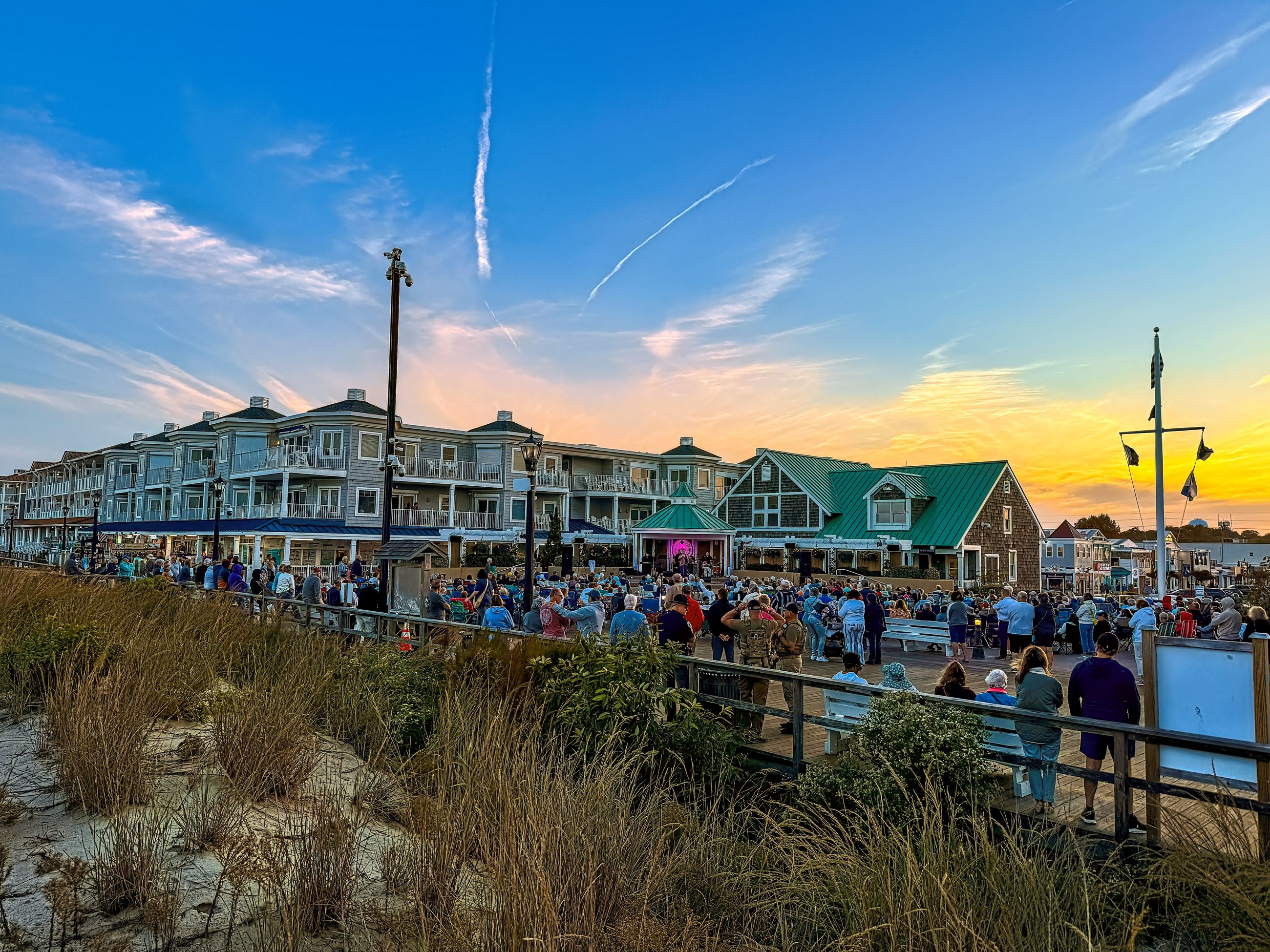 Chester Davis - Grand Prize 