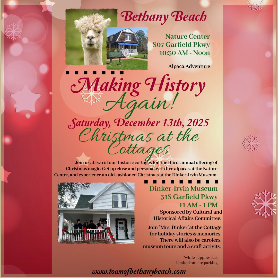 Christmas at the Cottages 2025 (3)